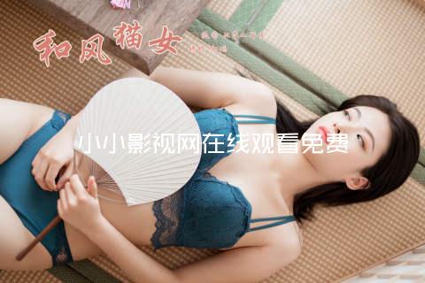 小小影视网在线观看免费